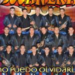 artist image Banda La Bucanera La Rana Contra Viento y Marea