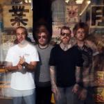 artist image Fall Out Boy Immortals (rock version) American Beauty / American Psycho