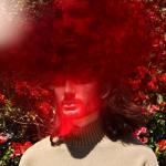 artist image Stephen Crossfire Sincerely