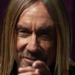 artist image Iggy Pop Real Wild Child (Wild One) Blah Blah Blah