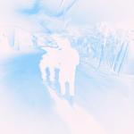 artist image Crystal Castles TRANSGENDER (instrumental slowed down remix) 