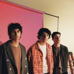 artist image Wallows These Days Spring - EP