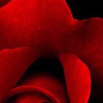 artist image Techno Project, Dj Geny Tur, Aries Atam Deep Love Deep Love - Single