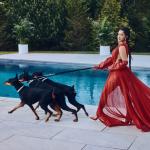 artist image Cardi B, Bad Bunny, J Balvin I Like It I Like It (Dillon Francis Remix) - Single