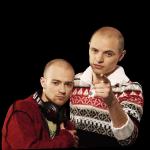 artist image DJ GaMeR Chorni Bumer Remix Мы фальшивые MC