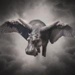 artist image Tom Morello feat. Gary Clark Jr., Gramatik Can't Stop the Bleeding (feat. Gary Clark Jr. & Gramatik) Can't Stop the Bleeding (feat. Gary Clark Jr. & Gramatik) - Single