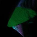 artist image Тeriyaki_boyz_feat._pharrell__chris_brown work_that_cdq__2oo9 