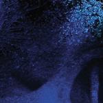 artist image DevilDriver Hardened Beast