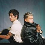 artist image twenty one pilots Trees Vessel