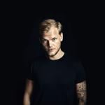artist image Avicii Levels Levels (Remixes) - EP
