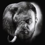 artist image Indie Elephant Retro Heaven Forest Retro Heaven Forest - Single