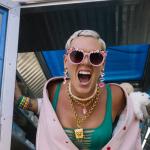 artist image P!NK There You Go 