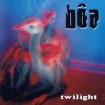 album image Fool Twilight
