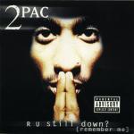 album image Dont blame me (rare) R U Still Down? (Remember Me)