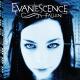 Ai Mori - Going Under (EVANESCENCE  cover)