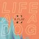 K.Flay - Can't Sleep