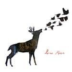 album image Friends Make Garbage (Good Friends Take It Out) Low Roar
