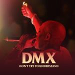 album image Get It On The Floor DMX: Don't Try to Understand - EP