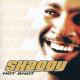 Shaggy feat. Ricardo Ducent, Nucci Rey O, Wiz Dinero - It Wasn't Me