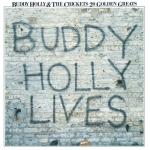 album image Raining In My Heart 20 Golden Greats: Buddy Holly Lives