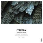 album image Freedom Freedom - Single