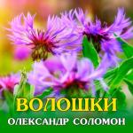 album image Волошки Волошки