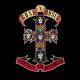 Guns N' Roses - Paradise City