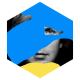 Beck - Wow