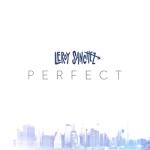 album image Perfect Perfect - Single