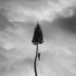 album image The Moth A Black Mile To The Surface