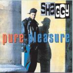 album image Bow Wow Wow Pure Pleasure