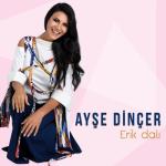 album image Erik Dali (BRB) Erik Dalı - Single
