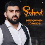 album image Seni Qemgin Gorende (Official Audio) Seni Qemgin Görende - Single