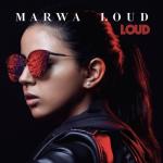 album image Mehdi Loud