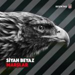 album image Bir Gün Değil Her Gün Beşiktaş Siyah Beyaz Marşlar