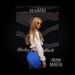 album image Habibi Habibi - Single