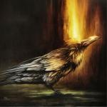 album image Stranger Blaze