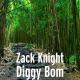 LVK - Zack Knight & Jasmin Walia - Bom Diggy (Dillon Francis Remix)