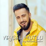 album image Vay_Delikanli_Gonlum (Parvona.net) Vay Delikanlı Gönlüm - Single