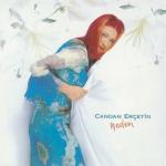 album image Yapayalnız Neden