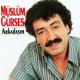 Müslüm Gürses - Arkadaşım