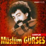 album image Garipler Garipler