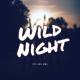 V12 and M86 - Wild Night (When we first met)