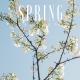 Unknown artist - [No Copyright Music] Spring - Ikson