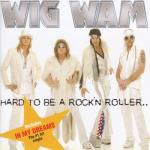 album image Turn to You Hard to Be a Rock'n Roller..