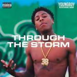 album image Для твоего вайба Through the Storm - Single
