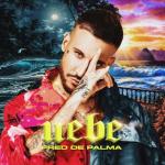 album image D'estate non vale (feat. Ana Mena) Uebe