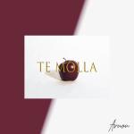 album image te mola slowed Te Molla (feat. Killua) - Single