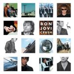 album image It's My Life Crush