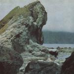 album image Voice from the Choir Many Nights